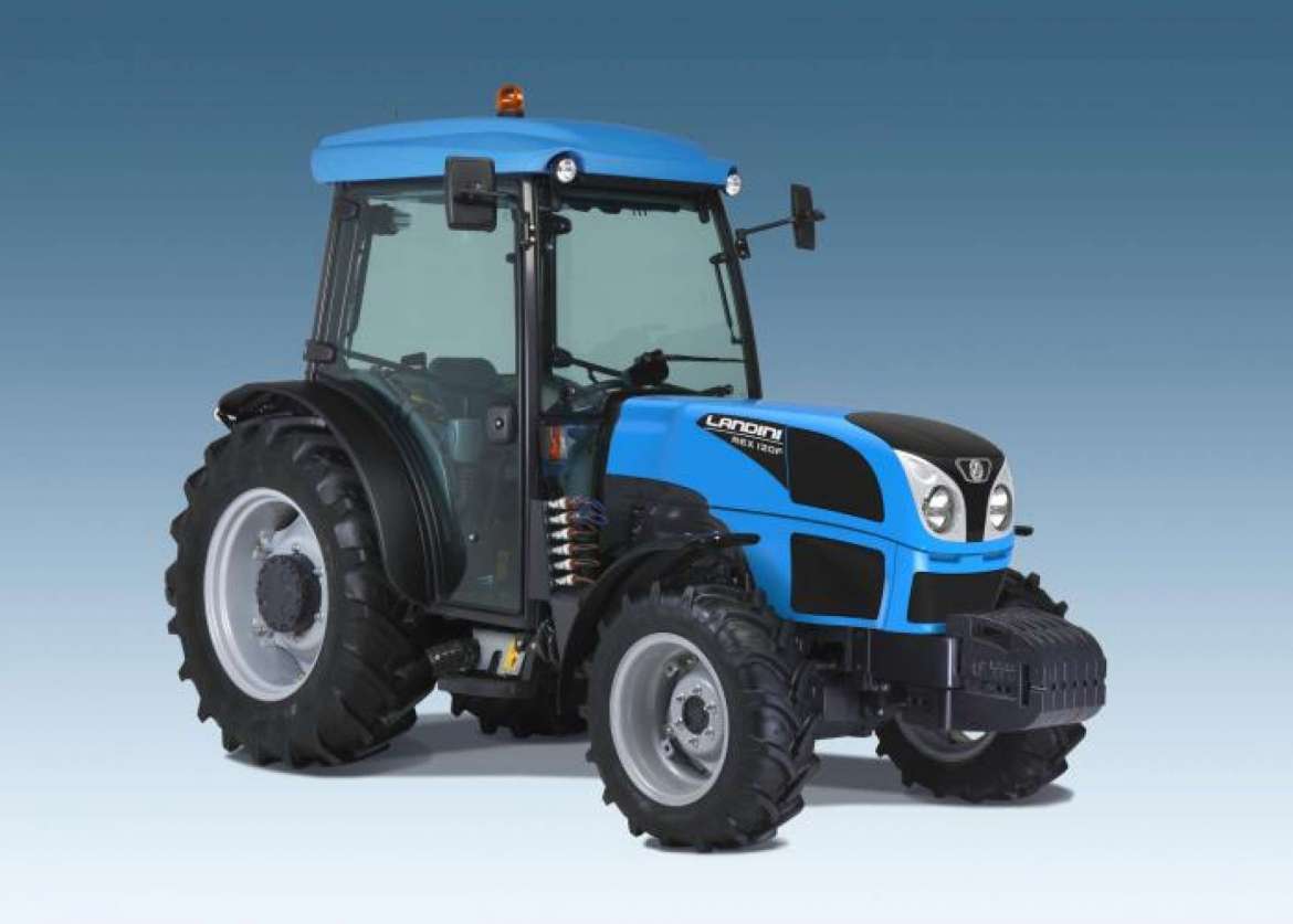 LANDINI REX